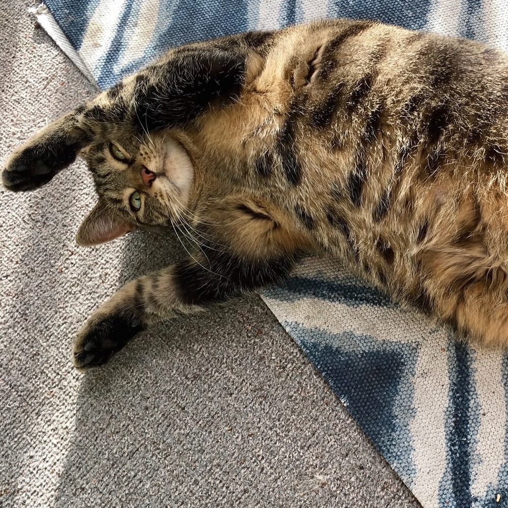 Meet your Posher, June